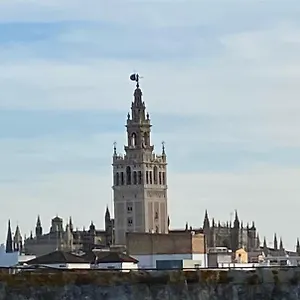 Atico Caleria Con Vistas A La Giralda Appartamento Siviglia